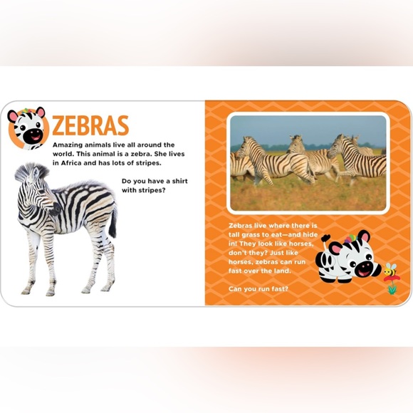 New Baby Einstein Book - Picture 3 of 7